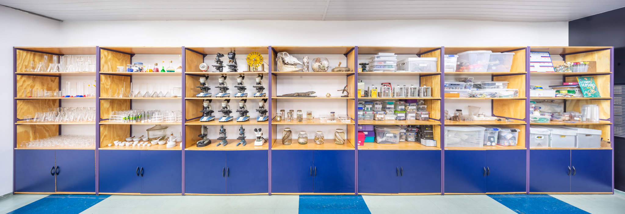 Prateleira de laboratório com vários microscópios, vidraria e materiais científicos, demonstrando a funcionalidade de móveis escolares.